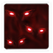 Afraid of the Dark Icon